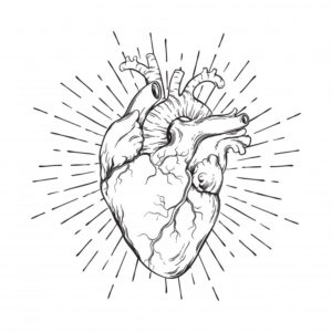 Heart illustration